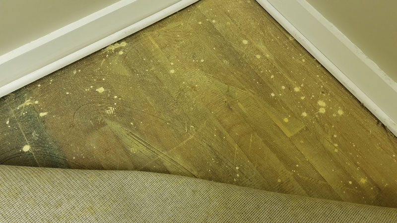 Uncovered wood floors
