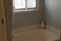 Bathtub before